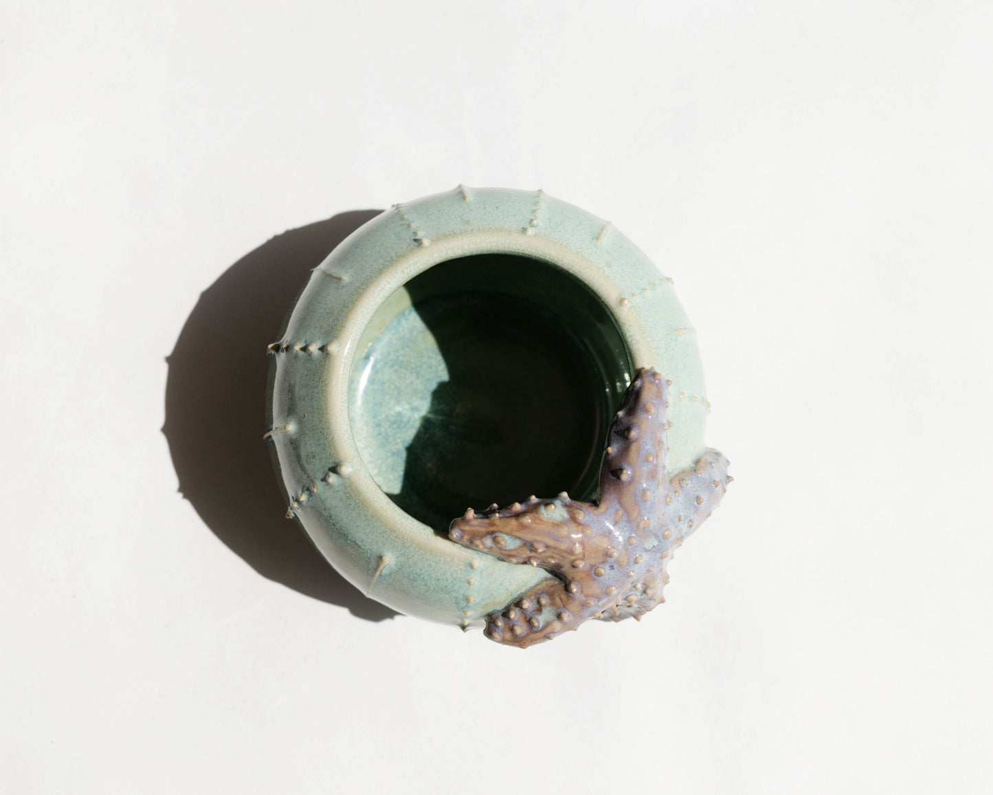 Sea Urchin Bowl with Starfish