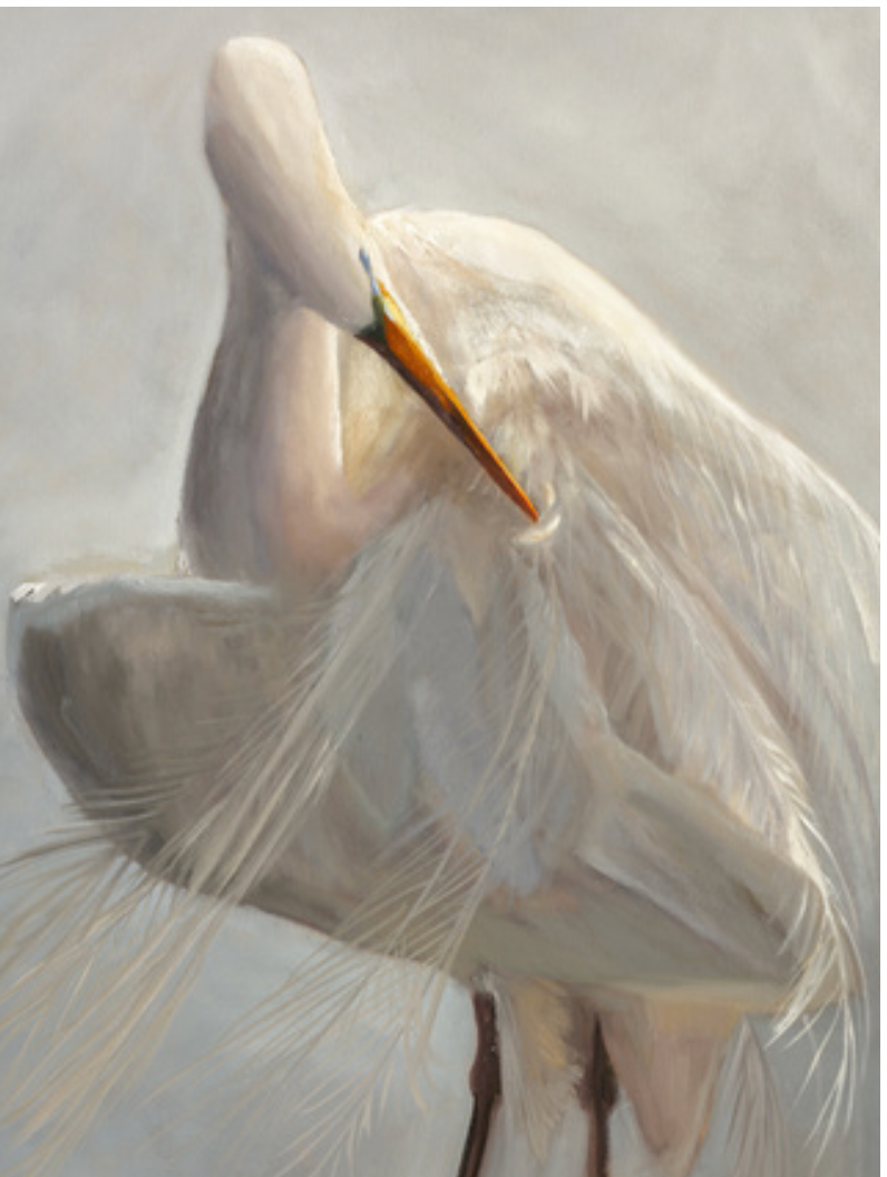 Aurora Giclee