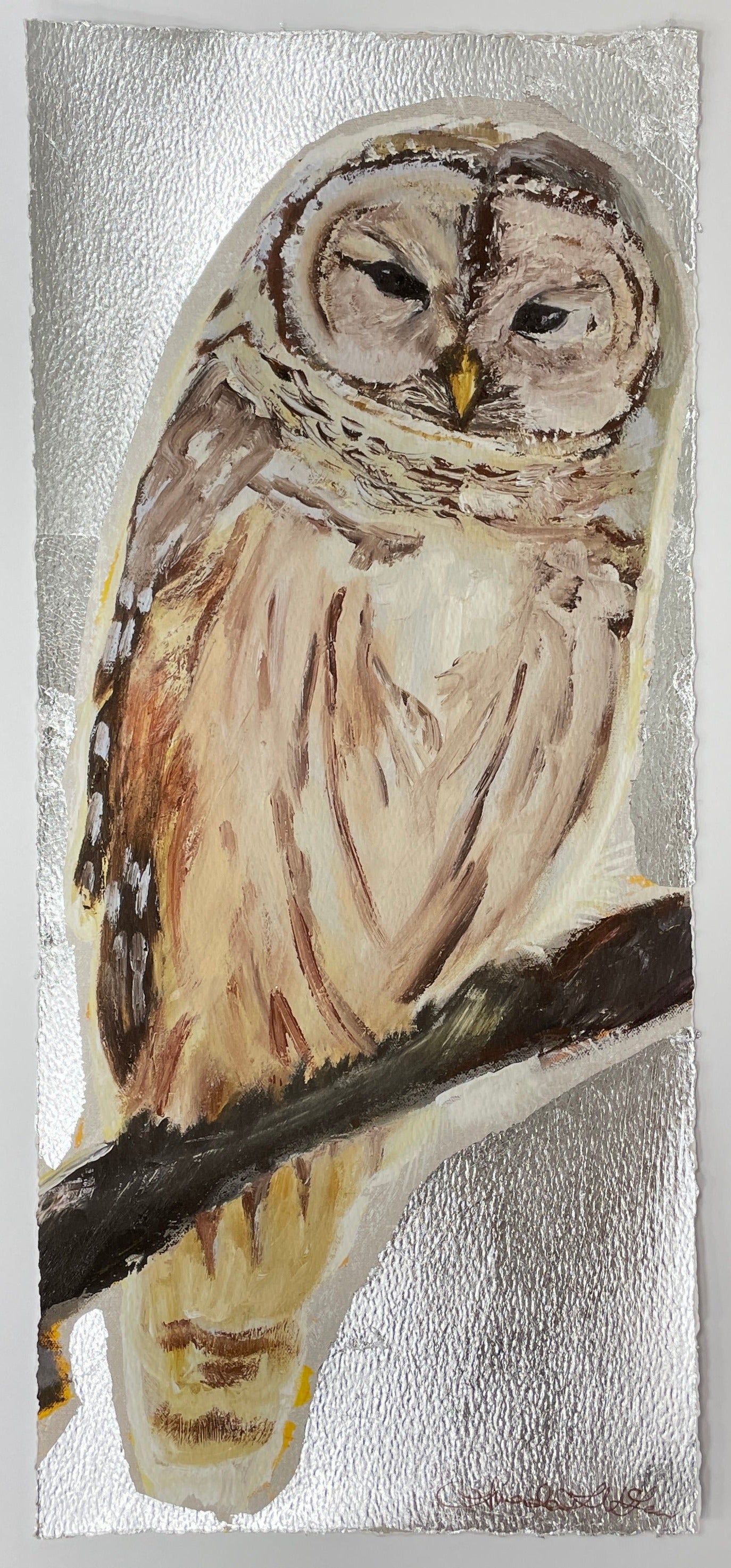 Barred Owl Giclee