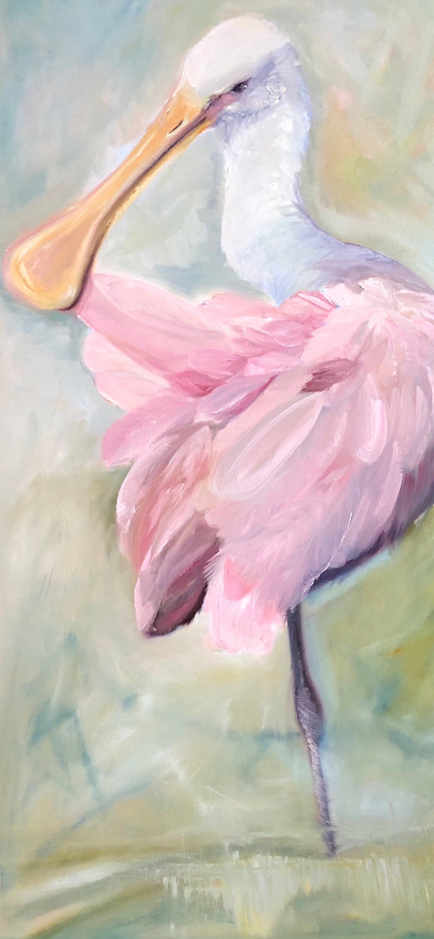 Spoonbill Giclee