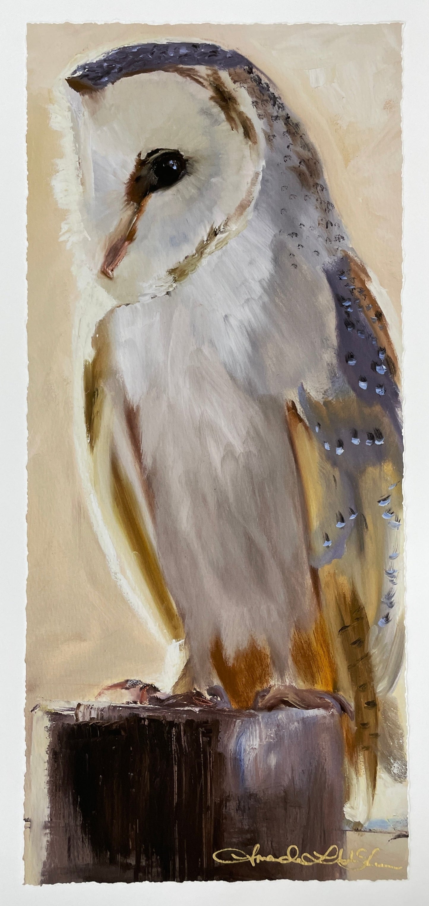 Barn Owl Giclee