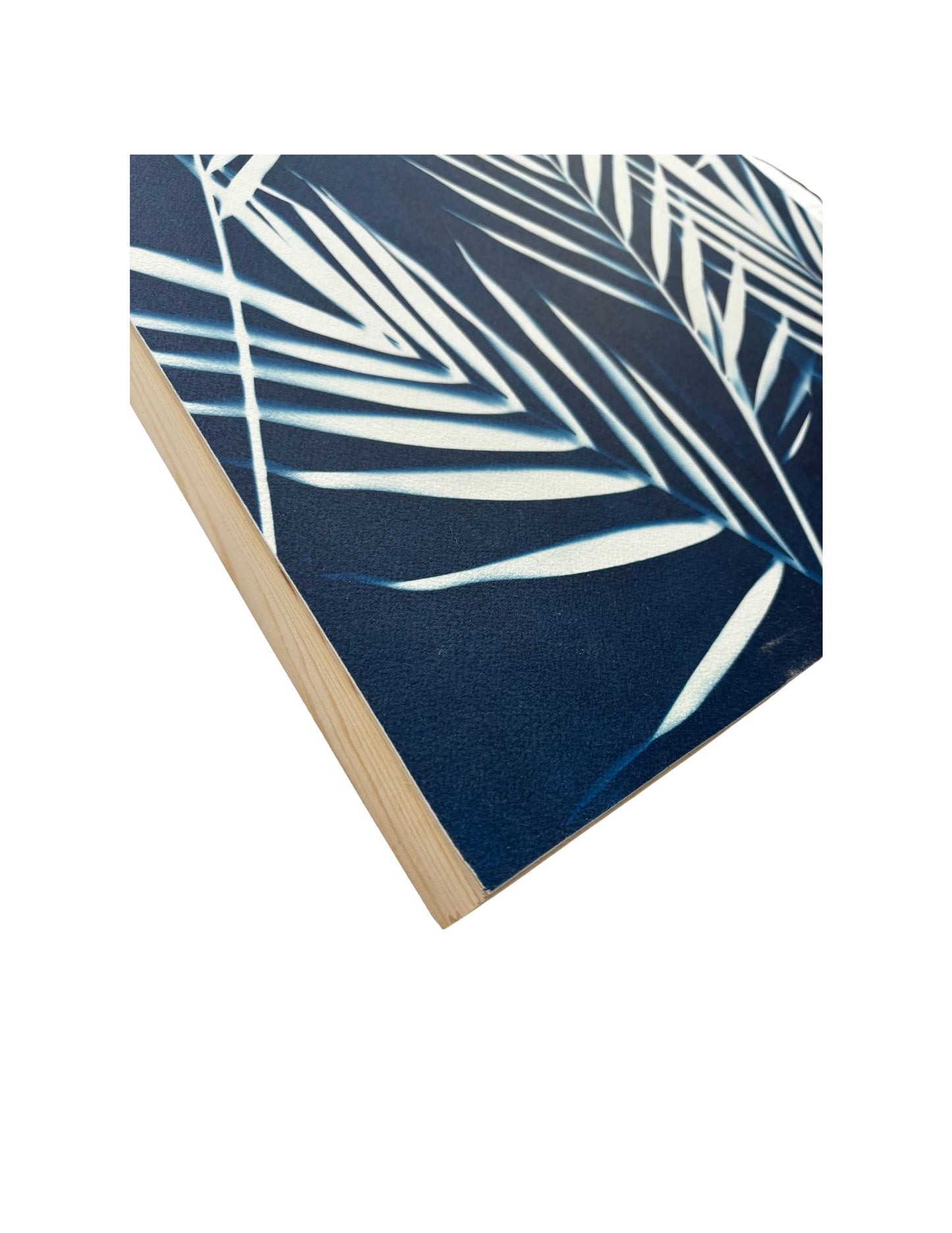 Blue Fern Chronicles