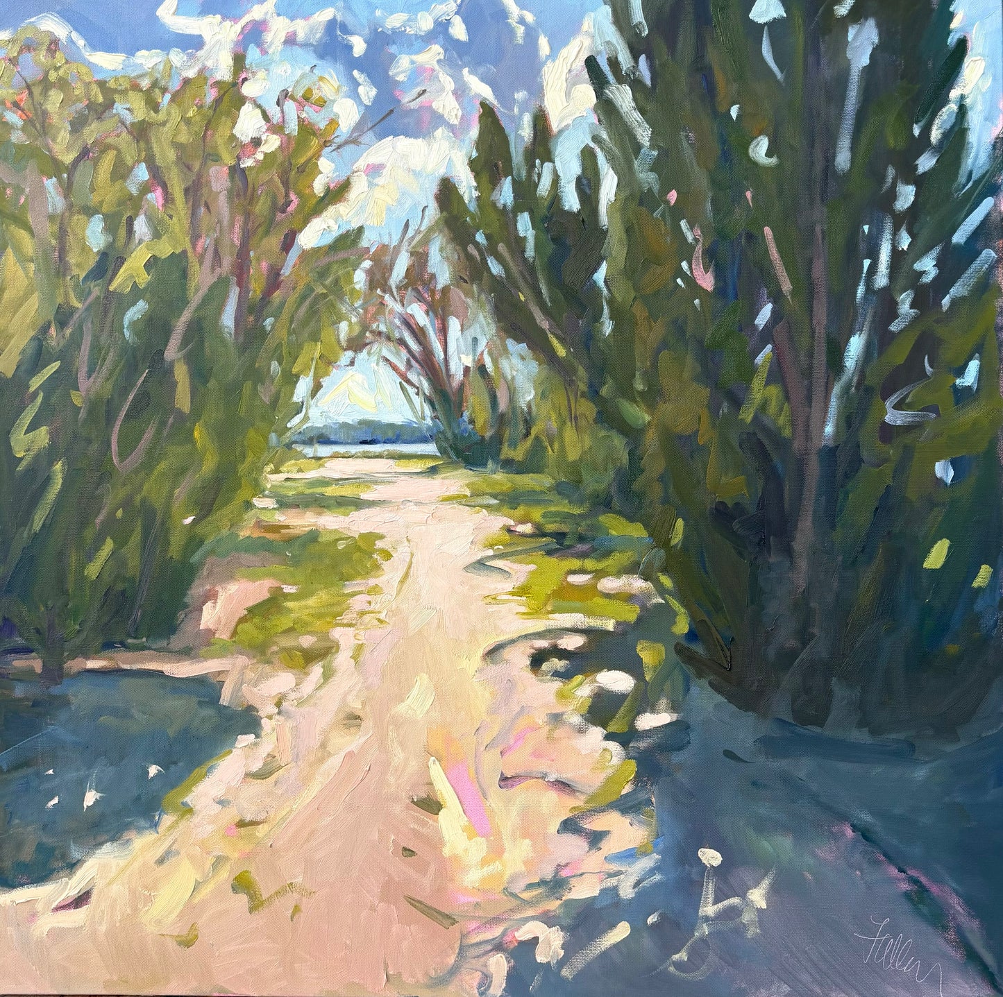 A Lowcountry Walk