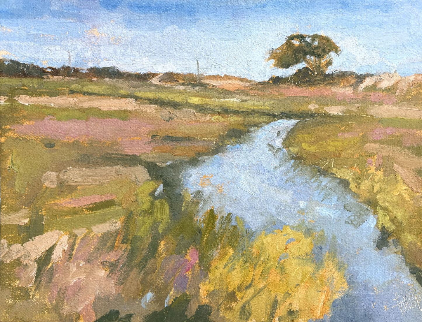 Along the Course