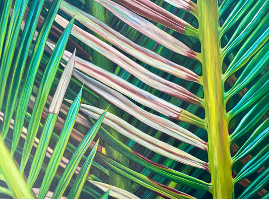 A Closer Look: Sago Palm