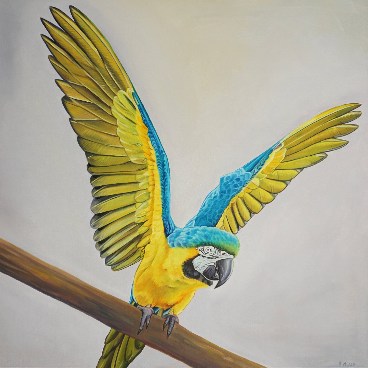 To Take Flight