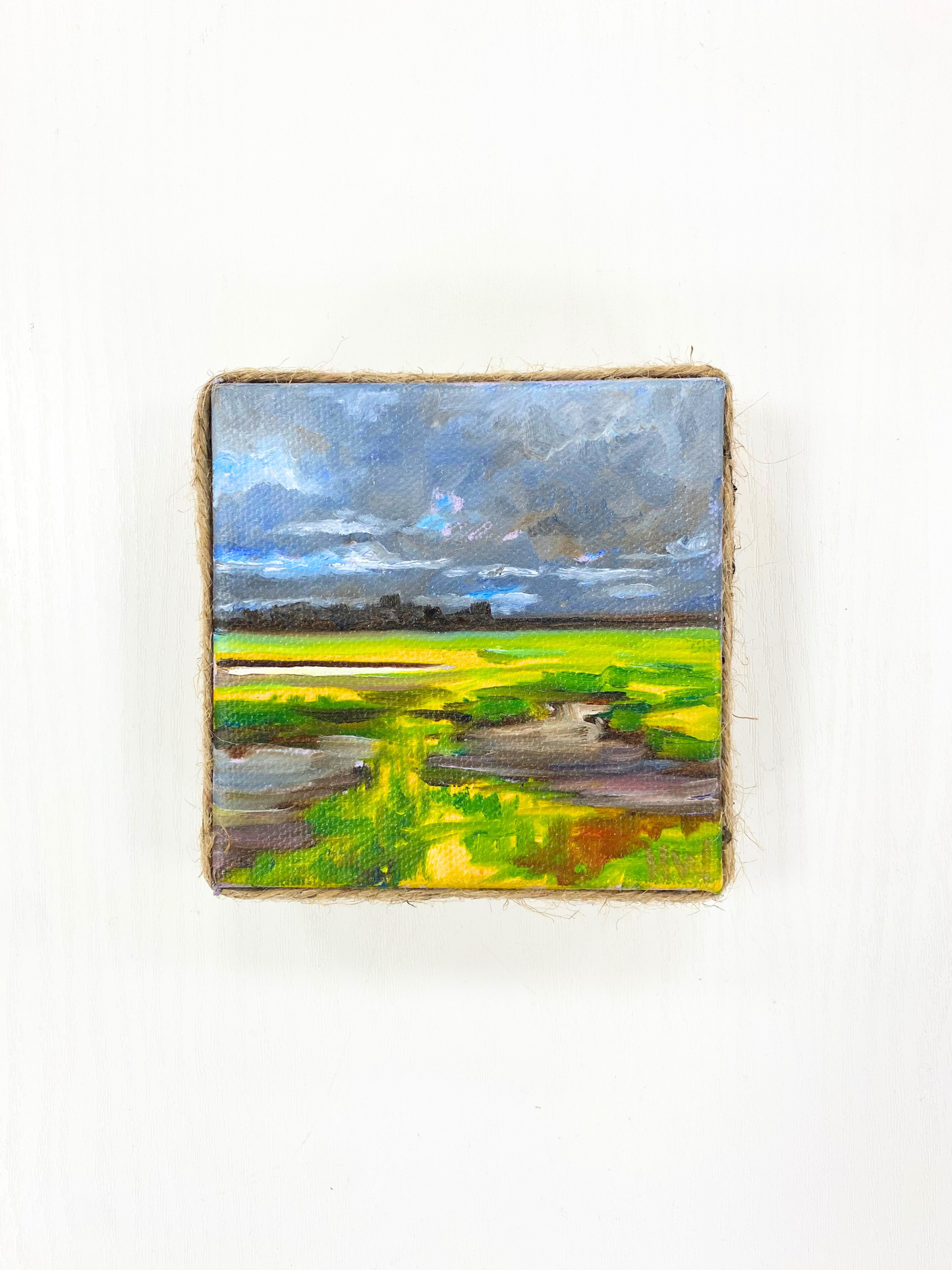 Coastal Minis