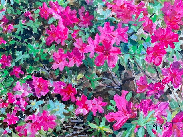 Azalea Season