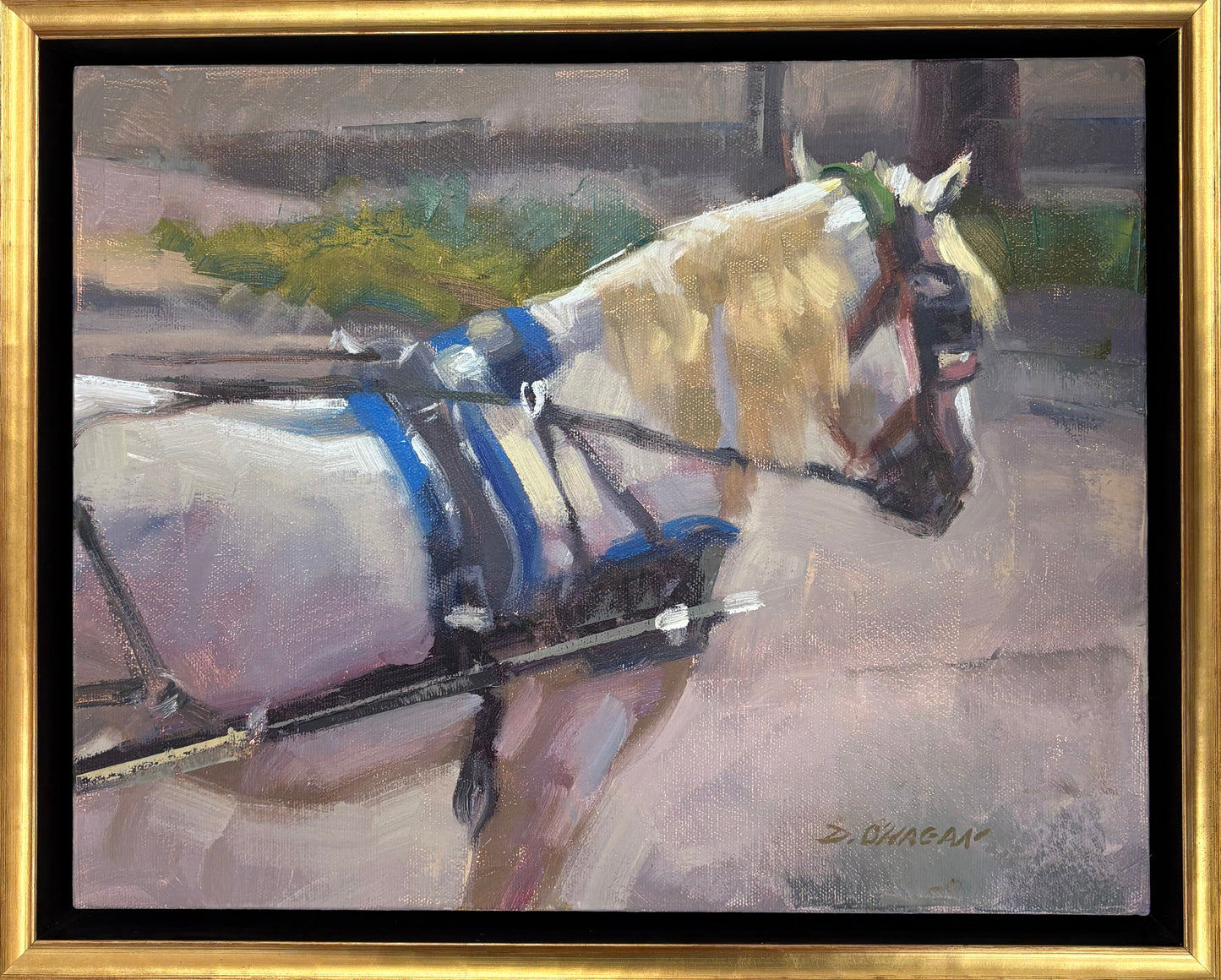 Carriage Horse, Charleston