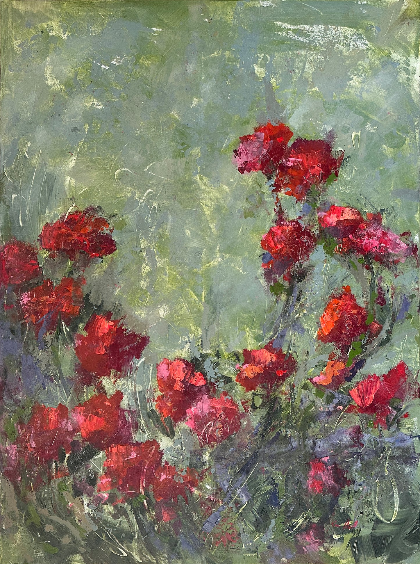 Italian Poppies on Parade