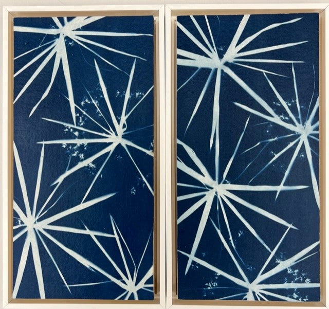 Starburst Papyrus Diptych