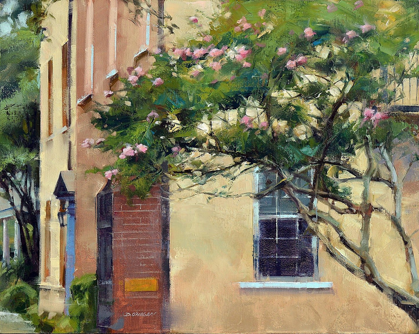Crepe Myrtle, Charleston