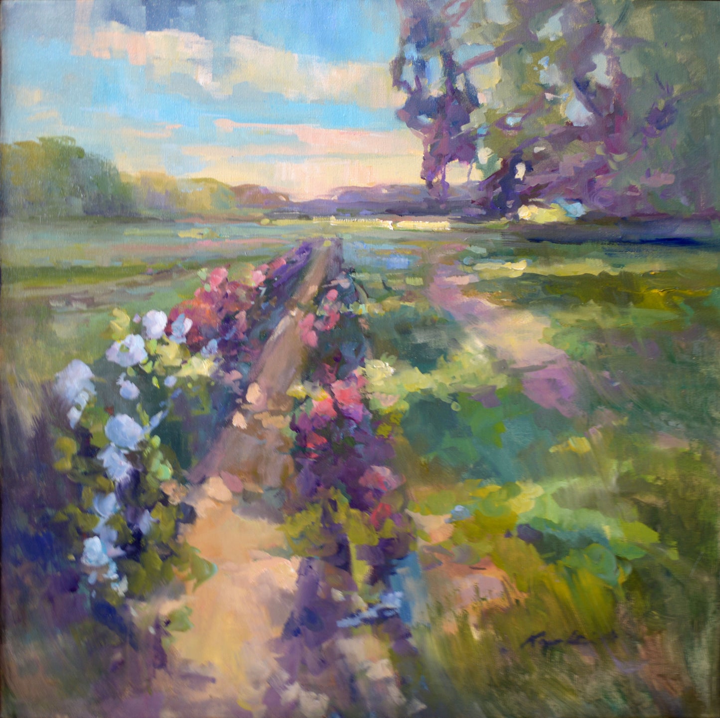 Roadside Fields, Edisto