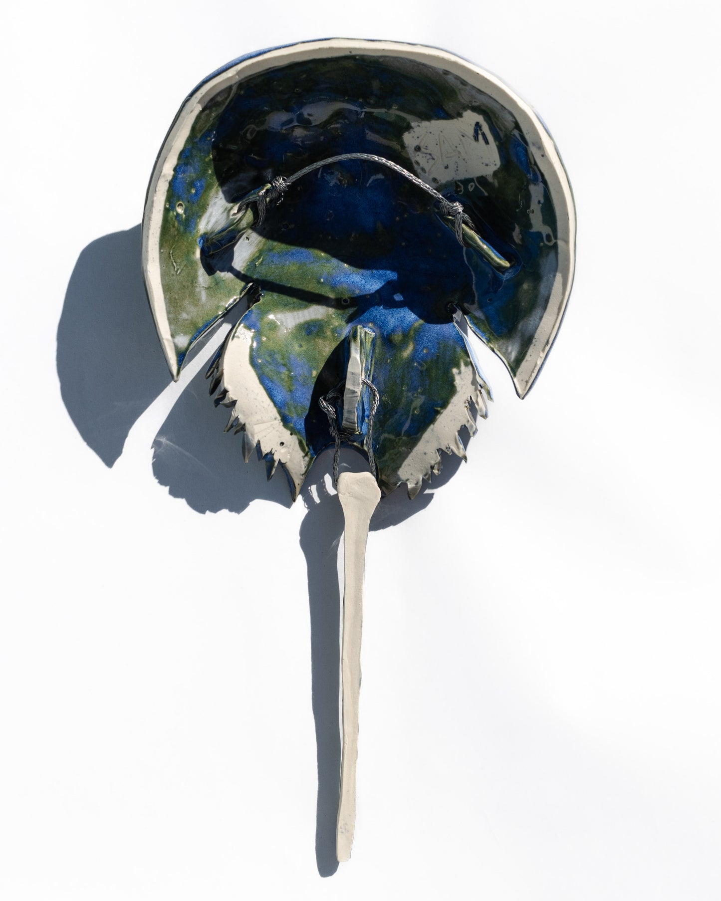 Horseshoe Crab - Blue Indigo