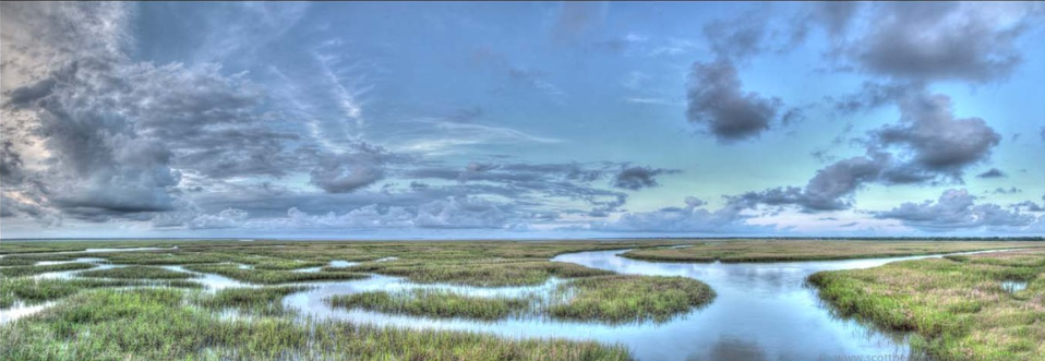 Lowcountry In Blue