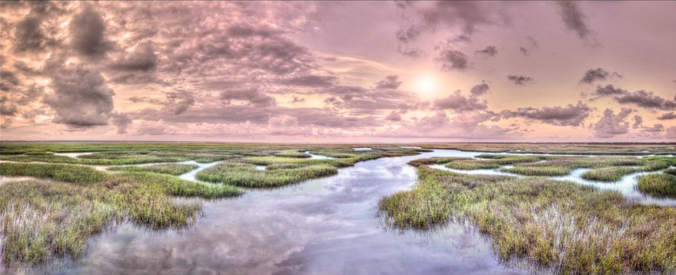 Dawn In The Lowcountry