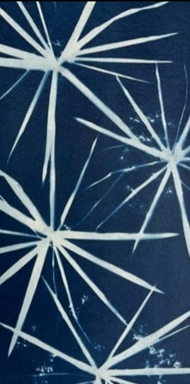 Starburst Papyrus 2