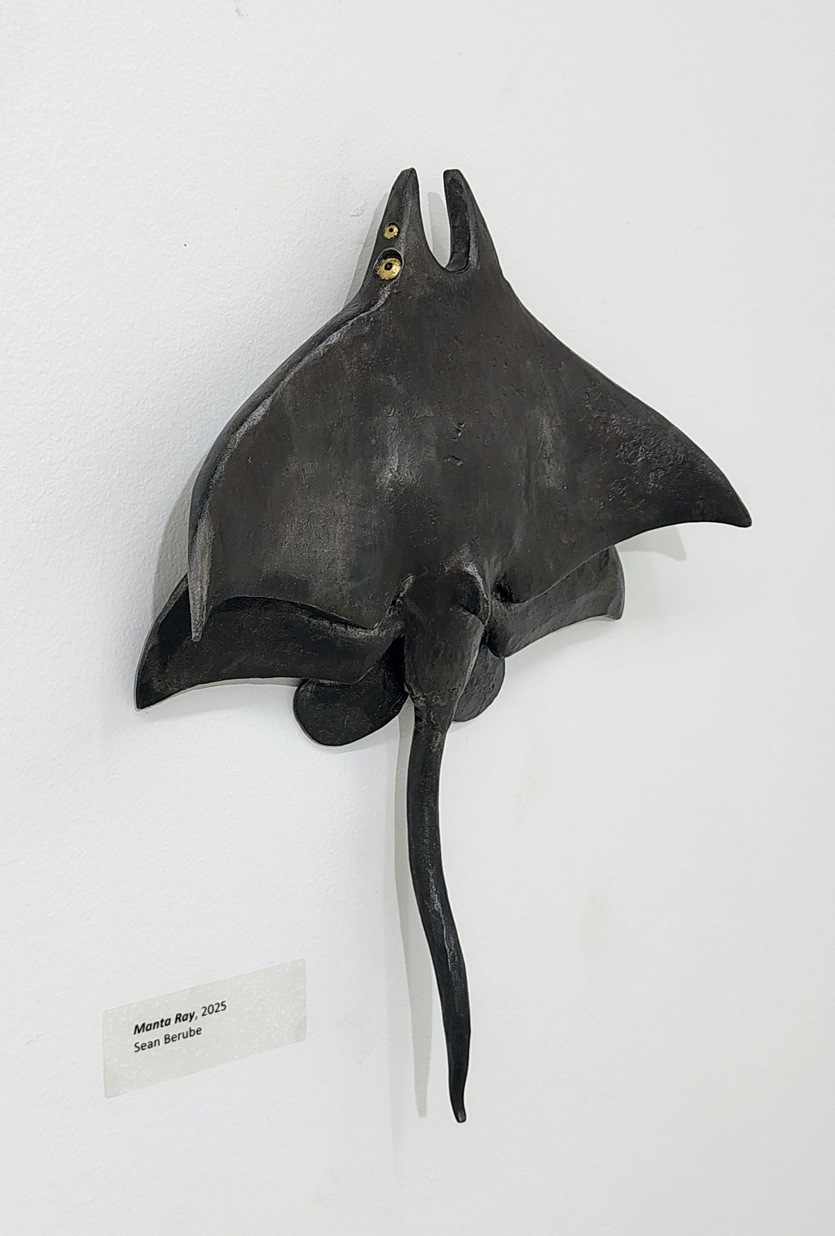 Manta Ray