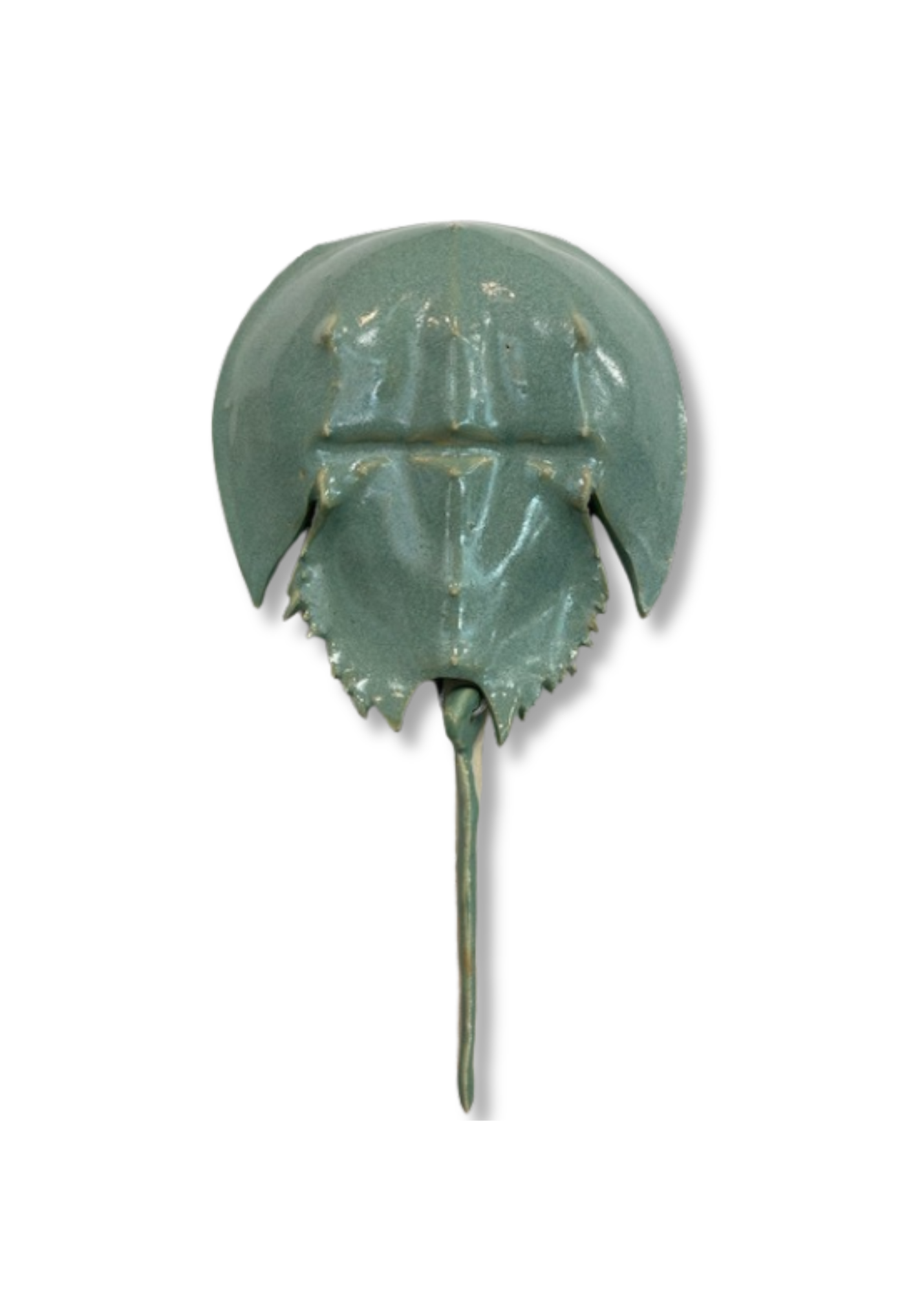 Horseshoe Crab - Turquoise