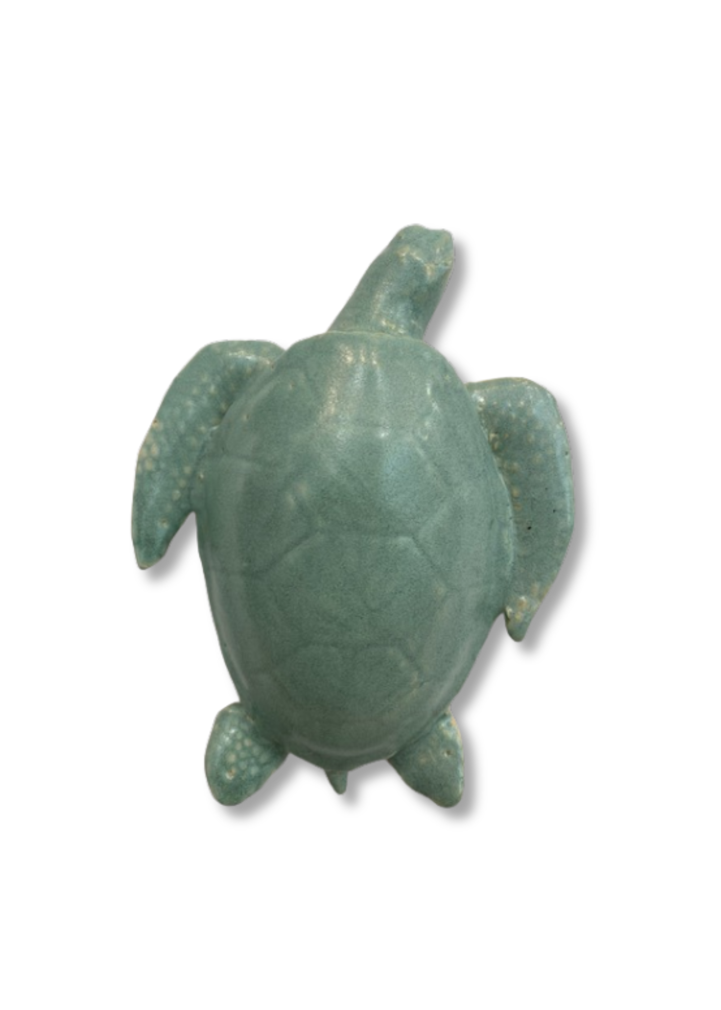 Turtle - Medium