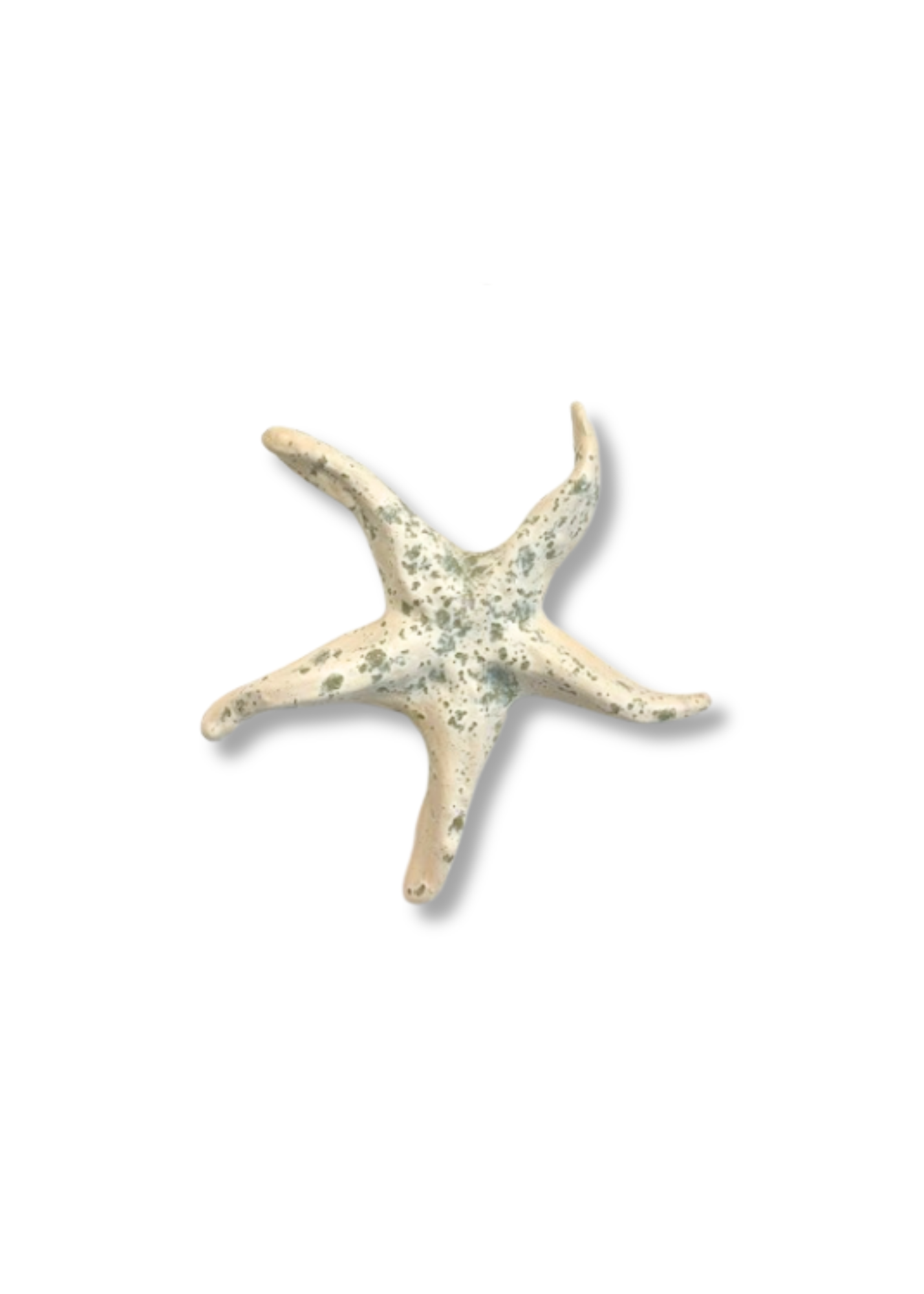 Sea Star - Speckled White