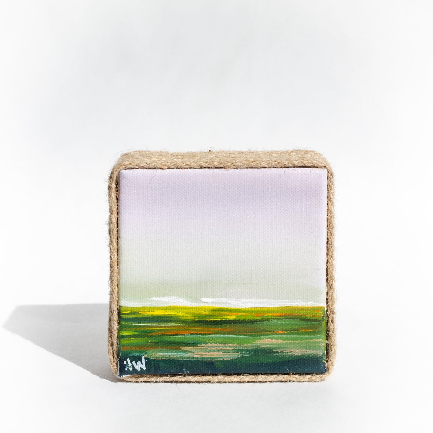 Coastal Minis