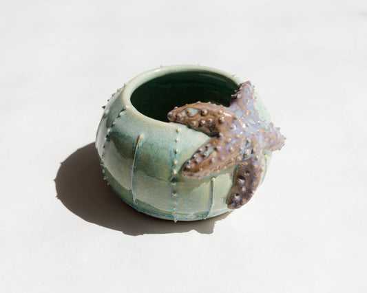 Sea Urchin Bowl with Starfish