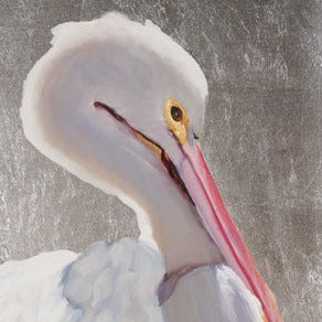 Placid Pelican