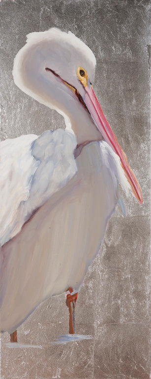 Placid Pelican