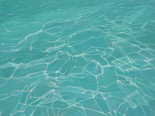 Now You Sea Me