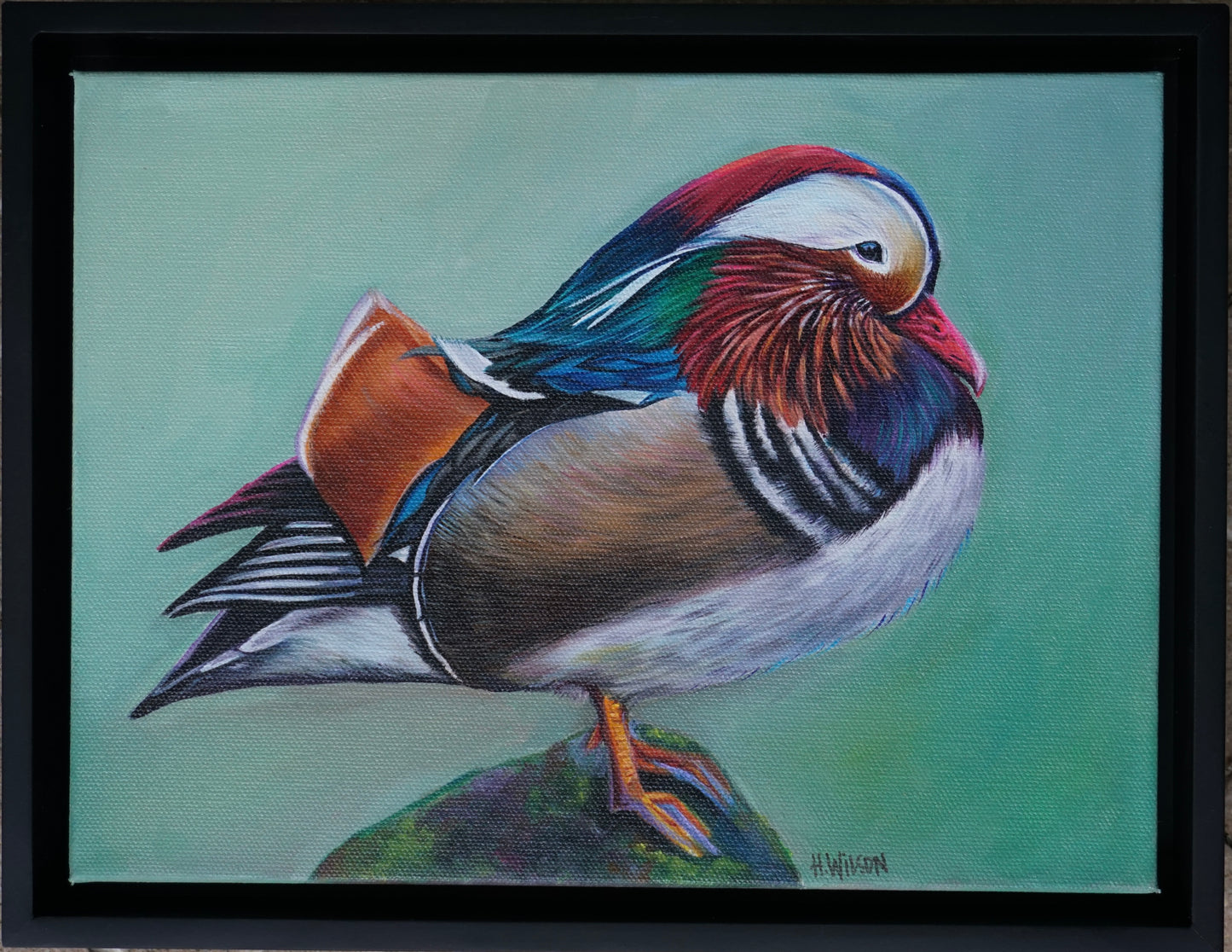How Much Wood Would A Wood Duck Duck