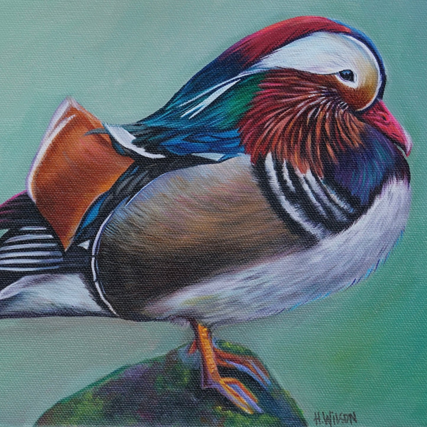 How Much Wood Would A Wood Duck Duck