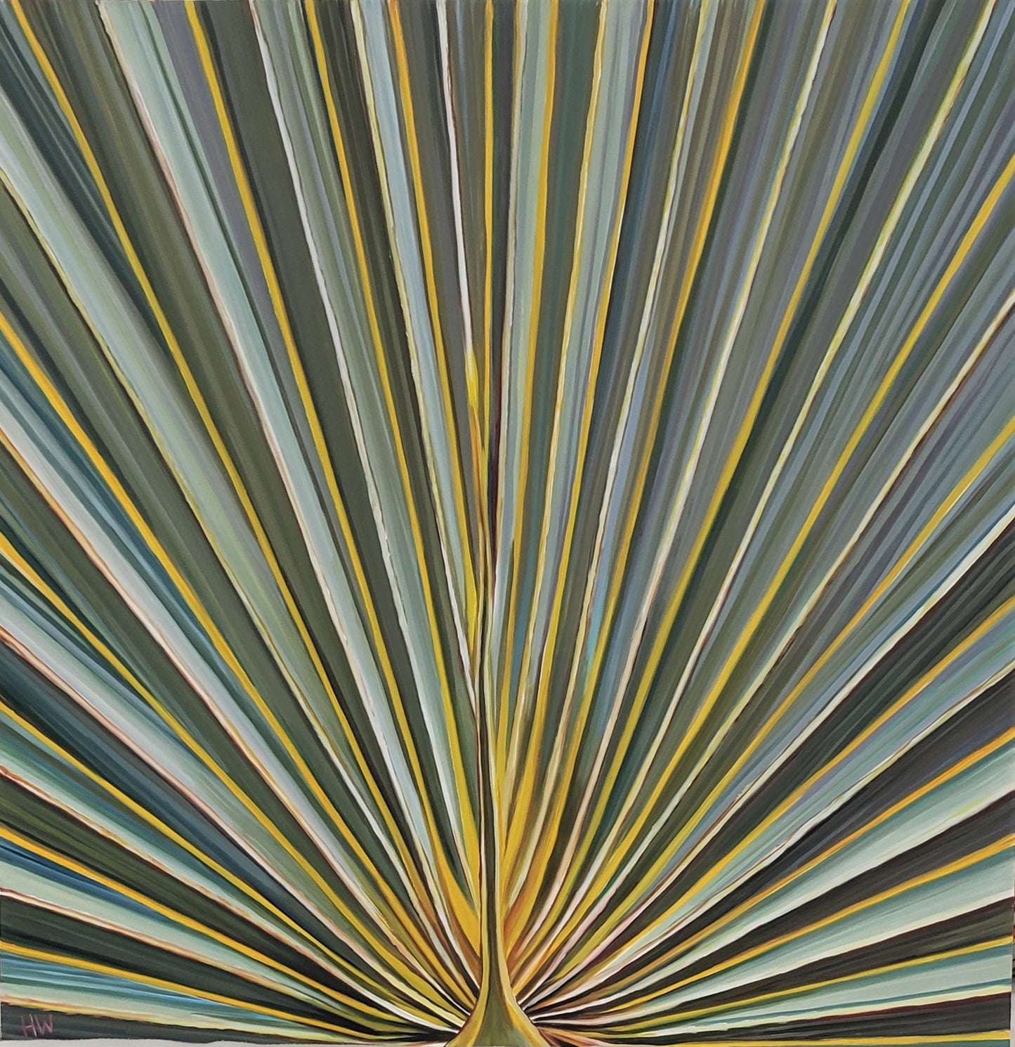 A Closer Look: Palmetto Palm