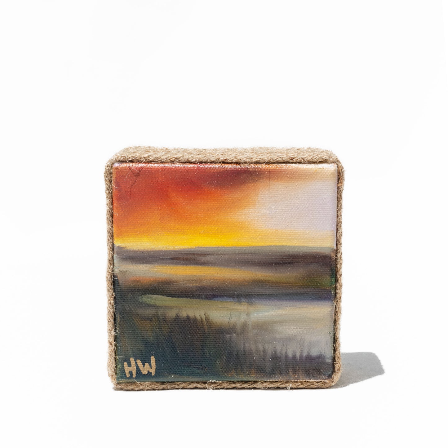 Coastal Minis
