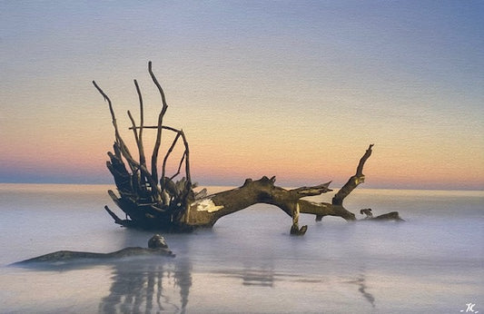 Fallen I, Hunting Island