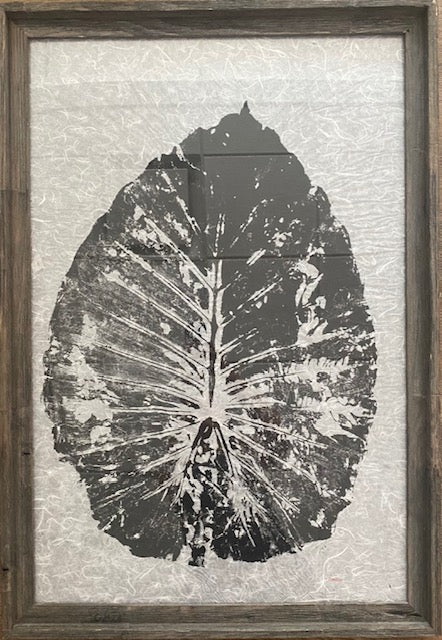 Colocasia Charcoal