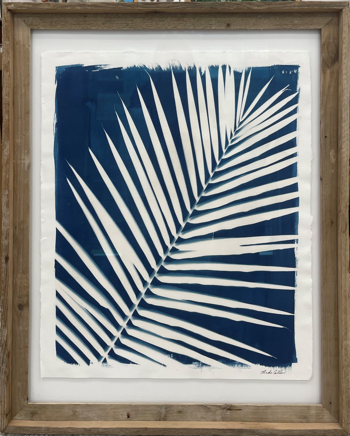 Palm Cyanotype