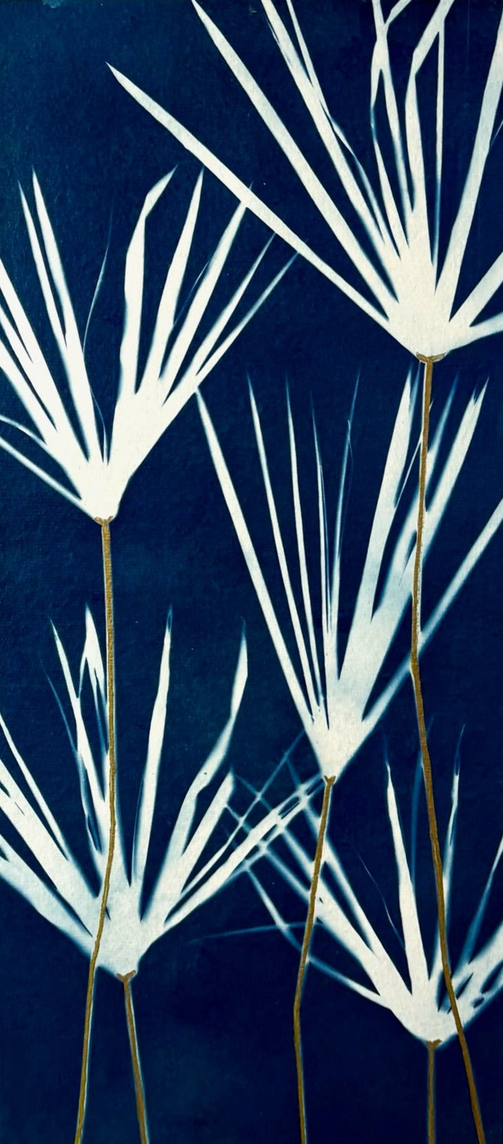 Papyrus Gold