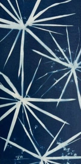 Starburst Papyrus Diptych