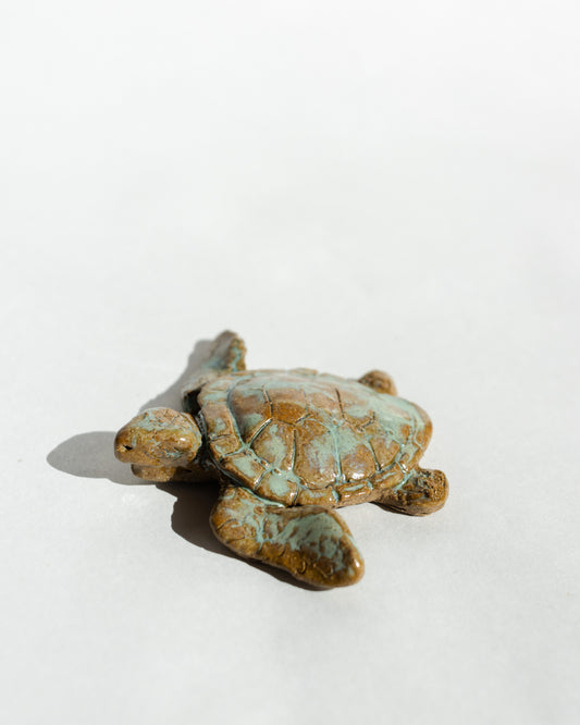 Turtle