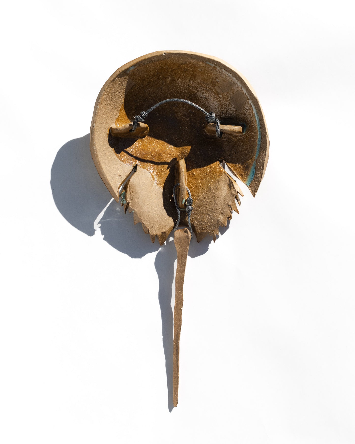 Horseshoe Crab - Oyster with Turquoise Glaze