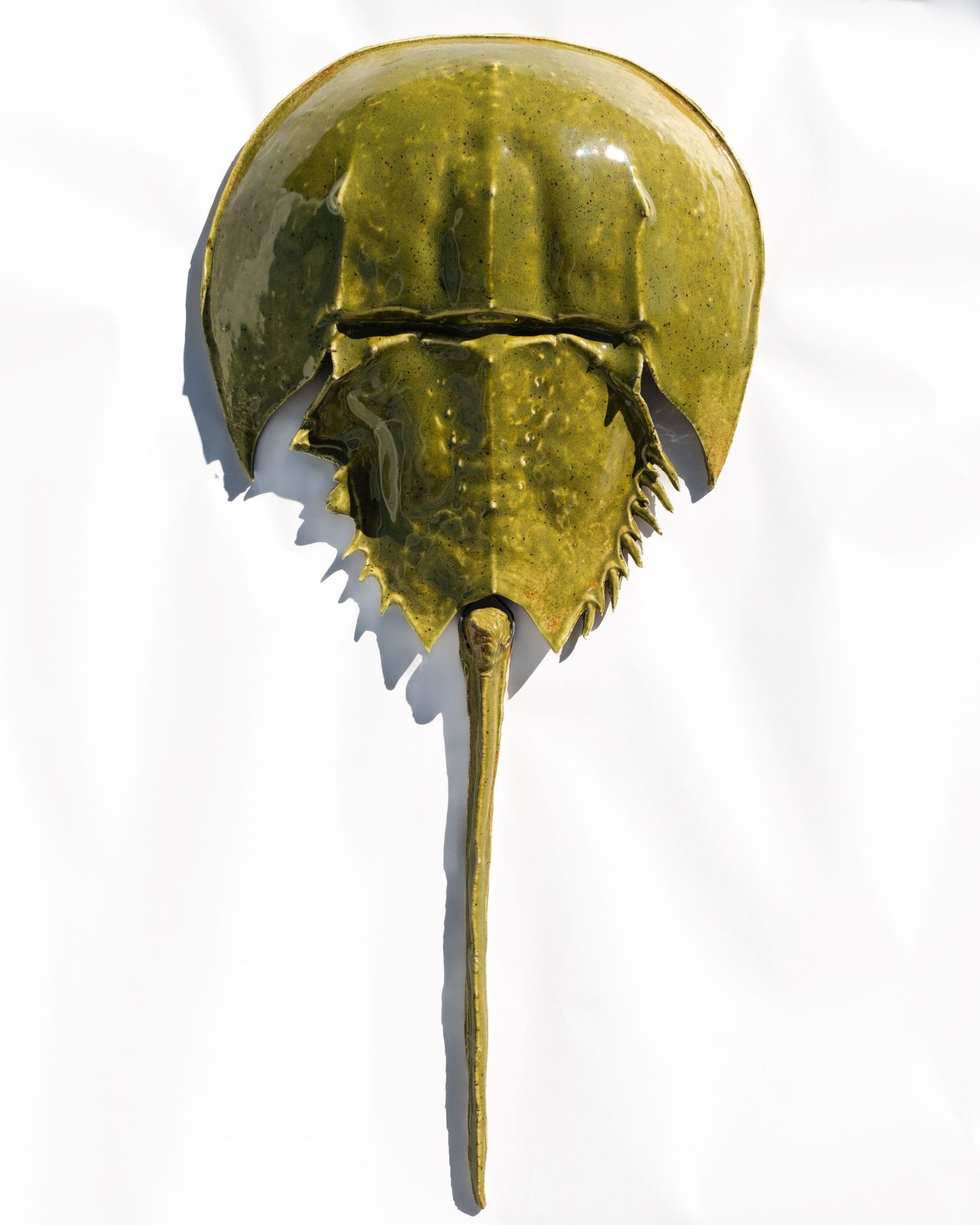 Horseshoe Crab - Deep Olive