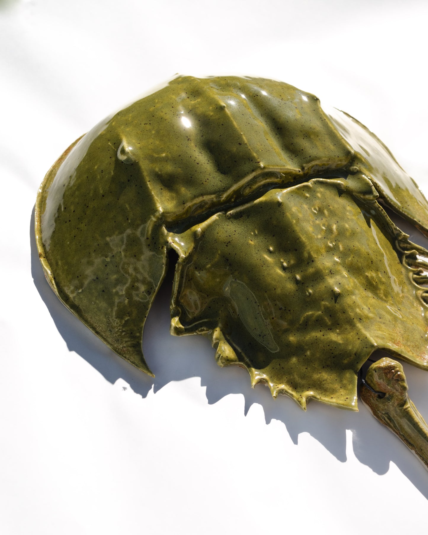 Horseshoe Crab - Deep Olive