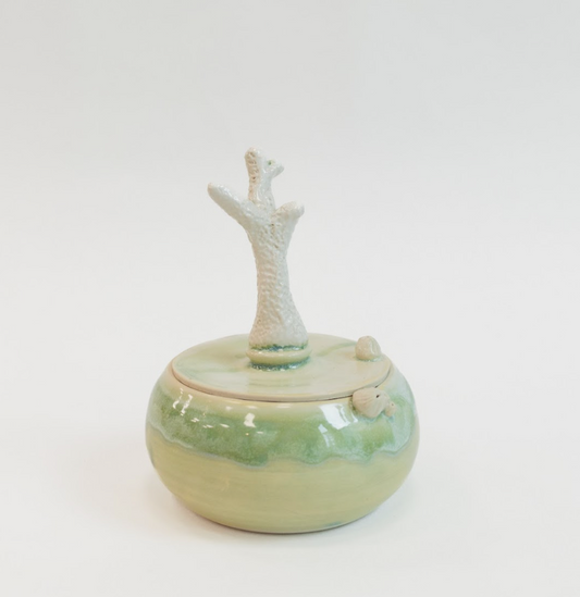 Coral Jewelry Box