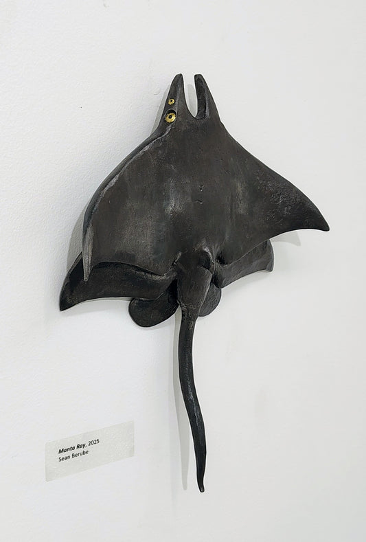 Manta Ray